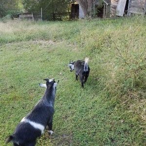 Meet your Posher, Karin